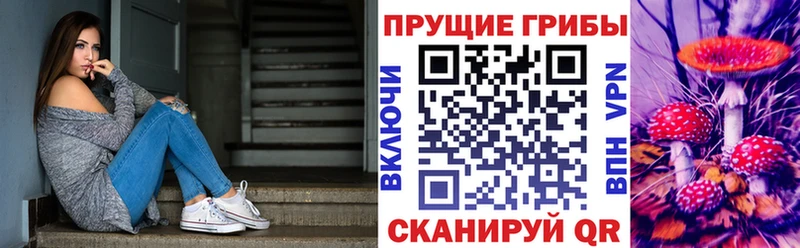 Галлюциногенные грибы Psilocybine cubensis  Купить  Омутнинск 